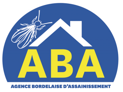 traitement termites bordeaux